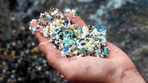 What Are Microplastics 10 Tips On How To Prevent Microplastics