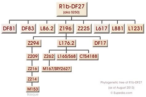 I updated this post to make it shorter/easier for readers. Haplogroup R1b (Y-DNA) | Dna research, Dna genealogy ...