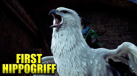 Hogwarts Legacy Getting Your First Hippogriff Flying Mount Highwing
