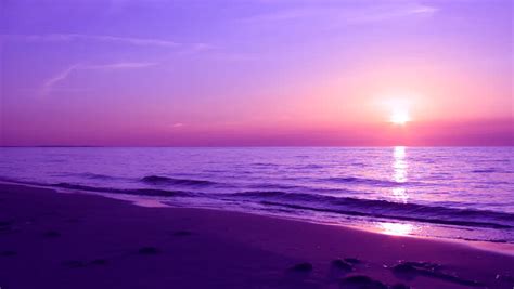 Sandy Beach During Sunset Stock Footage Video 3215950 Shutterstock