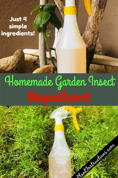 Homemade Garden Insect Repellent In 2020 Garden Insect