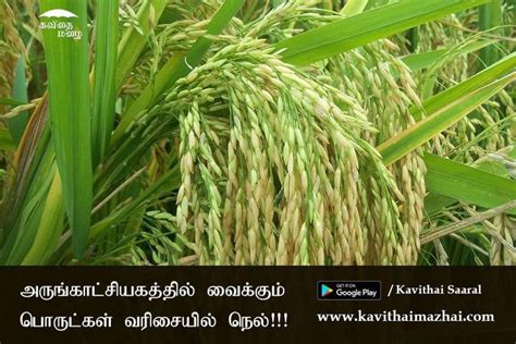 Daily Quotes Best Quotes Love Quotes Tamil Kavithaigal Love Poems