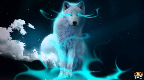 Blue Fire Wolf Wallpapers Top Free Blue Fire Wolf Backgrounds