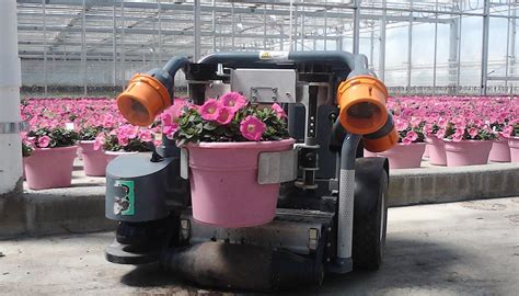 El Uso De Robots En Tareas Agrícolas Horticultura