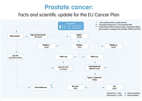 Early Detection And Diagnosis Of Prostate Cancer In Well Informed Men The Way Forward For