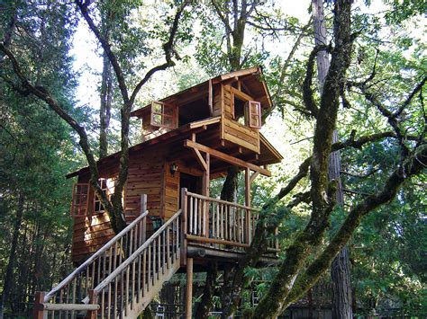 Building Your Own Tree House How To Build A House