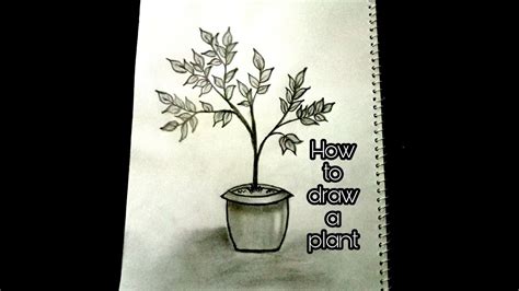 We did not find results for: How to draw a plant (step by step)/Farjana Drawing Academy ...