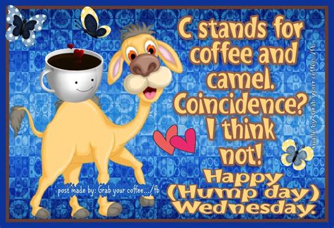 Happy Hump Day Wednesday Pictures Photos And Images For Facebook Tumblr Pinterest And Twitter