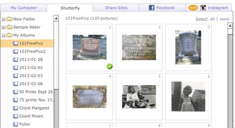 Olive Tree Genealogy Blog Creating Memory Books On Shutterfly