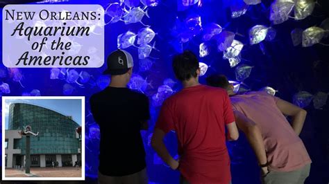 New Orleans Aquarium Of The Americas Youtube