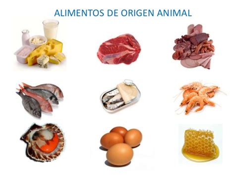 La Clase De Rita Selaya Alimentos De Origen Animal