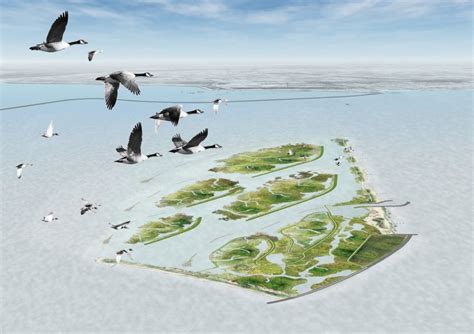 Maak in vogelvlucht kennis met de nieuwe natuur van marker wadden en geniet van de vogels die om je heen vliegen en voedsel zoeken op de slibvelden. VFC Zeilcharters Expeditie Marker Wadden op 17 mei 2020 ...