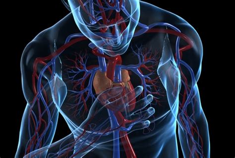 Jom pelajari tanda sakit jantung yang mungkin menyerang seseorang. Kenali Tanda Serangan Jantung Satu Bulan Lebih Awal | OTC ...