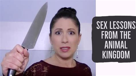Sex Lessons From The Animal Kingdom Youtube