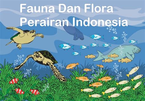 Nah, untuk dapat menjaga, tentu kita pun harus mengenalinya. Jenis Fauna dan Flora di Perairan Indonesia - Flora dan Fauna