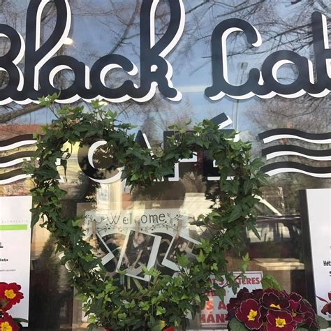 Please nominate the black cat café in the category of your choice! Black Cat Café - Kávézó - Szolnok | specialty.hu