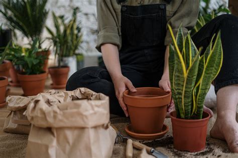 Whether you are growing in raised beds, 5 gallon buckets, or pots, our soil calculator has the flexibility to mix and match any combination of round and rectangular containers for you environment. How to Calculate How Much Soil You Need for Your Garden ...