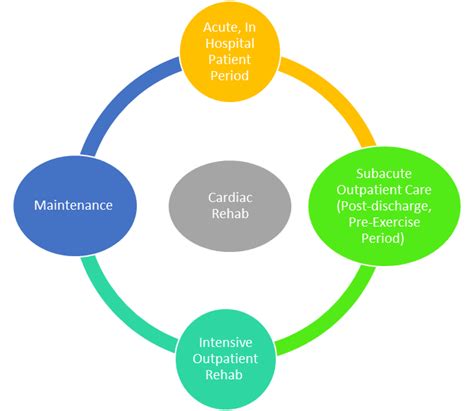 Cardiac Rehabilitation Phases Benefit And Exercises Apollo Hospitals Blog