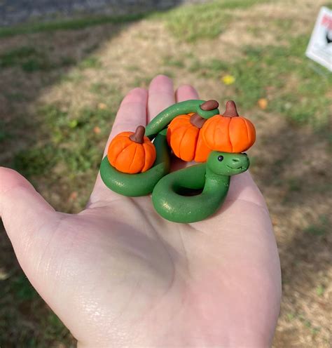 Pumpkin Patch Snakes Like To Help You Pick Pumpkins🧡 Rsnakes