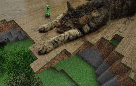 Creeper Vs Kitty Minecraft Minecraft Cat Cute Cats
