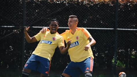— selección colombia (@fcfseleccioncol) february 1, 2021. Los mejores momentos del primer microciclo de la Selección ...