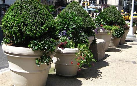 Outdoor pest controls, indoor pest controls, mosquito repellent Extra-large Lightweight Planters—Where to Get Them ...