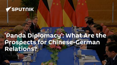 Panda Diplomacy What Are The Prospects For Chinese German Relations