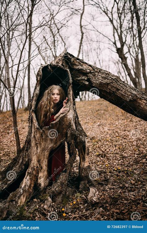 Young Witch In The Autumn Forest Stock Image Image Of Girl Beauty