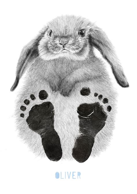Rabbit Foot Bunny Feet Template Furry Misconceptions Rabbit Feet By
