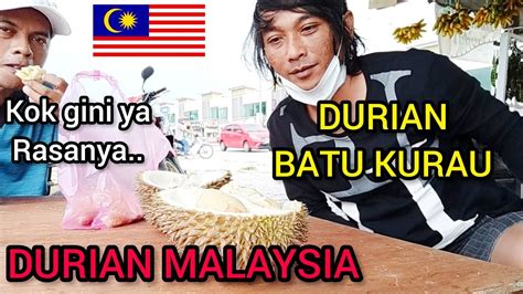 Durian batu kurau, batu kurau. Nyobain durian malaysia || durian batu kurau perak ...
