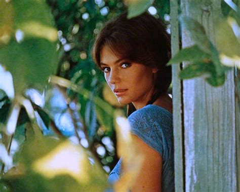 Glamorous Photos Of Jacqueline Bisset In The 1960s And 1970s Vintage News Daily