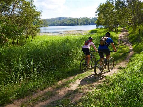 Mountain-bike rides | D'Aguilar National Park | Parks and forests