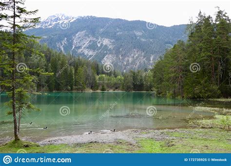 Beautiful Scenery Of A Lake Surrounded By Green Trees Stock Image