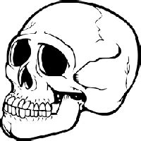 Viral | 26 agustus 2019. Download Skeleton Free PNG photo images and clipart | FreePNGImg