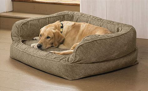 Ways To Choose Perfect Sleeper Couch So You Can Rest Easily Cedar Dog