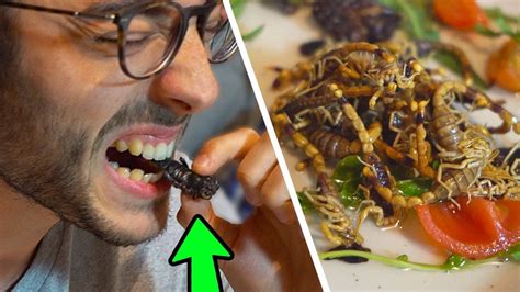 Come si combattono gli scorpioni quando li trovi in casa, sono un reale pericolo, ci si può difendere? HO MANGIATO UNO SCORPIONE!! (Vomito Finale) - YouTube