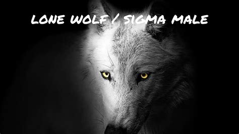 Being A Lone Wolf Sigma Male Youtube