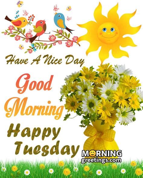 50 Good Morning Happy Tuesday Images Morning Greetings Morning