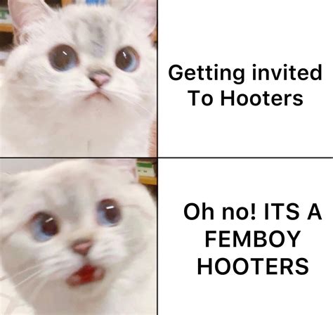 Not The Fembois Rdankmemes Femboy Hooters Know Your Meme