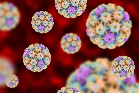 Human Papillomavirus A Brief Review Beyond Cervical Cancer