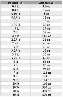18 Oz Equals How Many Lbs