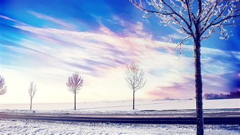 2560x1440 Snow Winter Trees 2 1440p Resolution Hd 4k Wallpapers Images