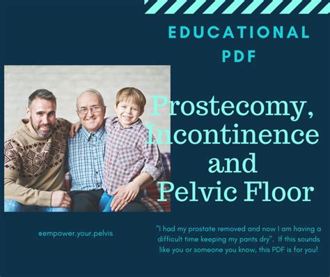 Empower Your Prostatectomy Incontinence And The Pelvic Floor Empower Your Pelvis Pelvic