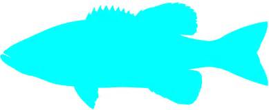 Free Free 337 Silhouette Bass Fish Svg SVG PNG EPS DXF File