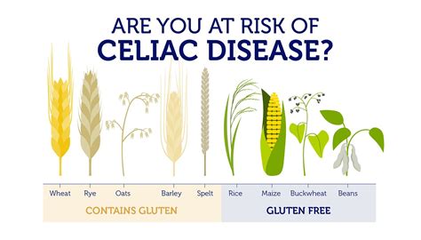 Did You Know Dna Determines Your Risk Of Celiac Disease Did You Know