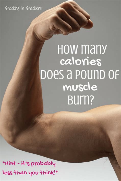 How Many Calories Does A Pound Of Muscle Burn Less Than You Think