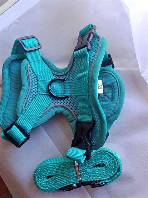 Pet Supplies for sale in Gorham, Maine | Facebook Marketplace