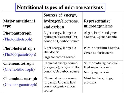 major groups of microorganisms types comparison chart