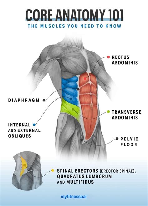 Core Strengthening Exercises That Target Every Ab Muscle Fitness