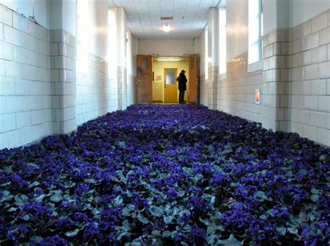 Blue Hallway Inhabitat Green Design Innovation Architecture Lentine